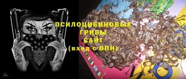 ГАЛЛЮЦИНОГЕННЫЕ ГРИБЫ Богородицк