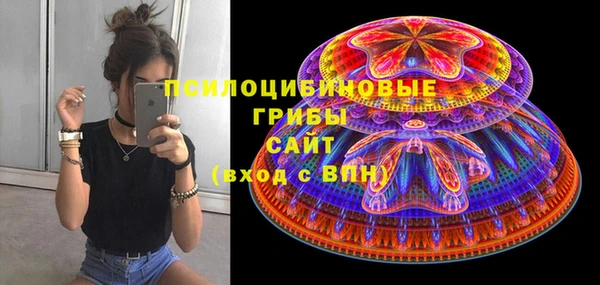 ГАЛЛЮЦИНОГЕННЫЕ ГРИБЫ Богородицк